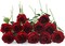 12 PCS Artificial Flowers Roses Silk Flowers Fake Long Stem Artificial Roses